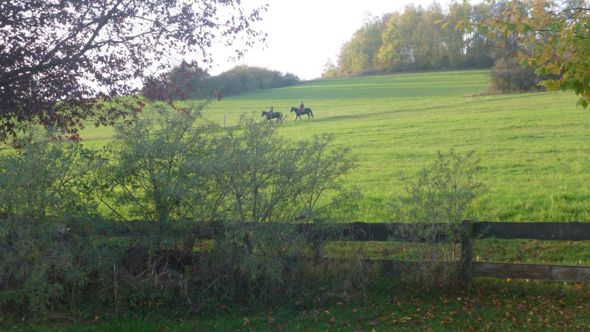 Natur Pur Mit Fernblick Fuer Wanderfreunde Bad Sachsa Extérieur photo