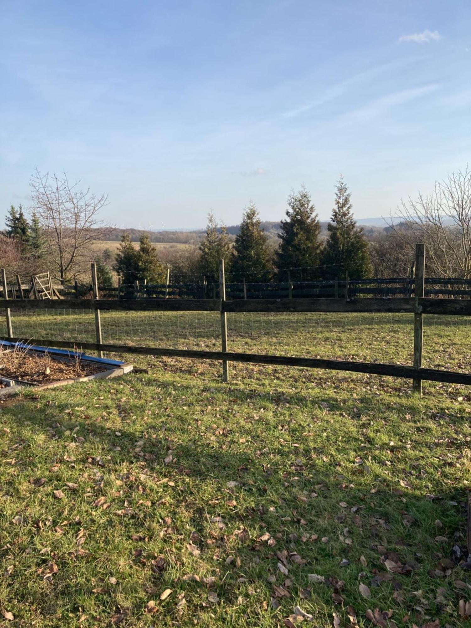 Natur Pur Mit Fernblick Fuer Wanderfreunde Bad Sachsa Extérieur photo