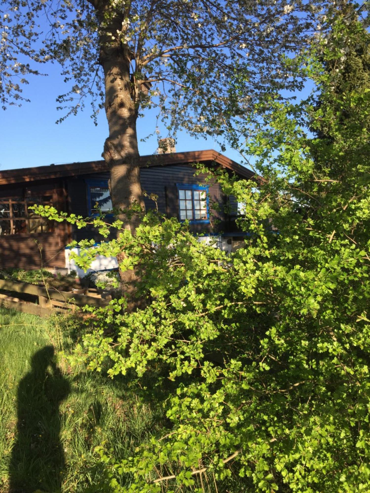 Natur Pur Mit Fernblick Fuer Wanderfreunde Bad Sachsa Extérieur photo